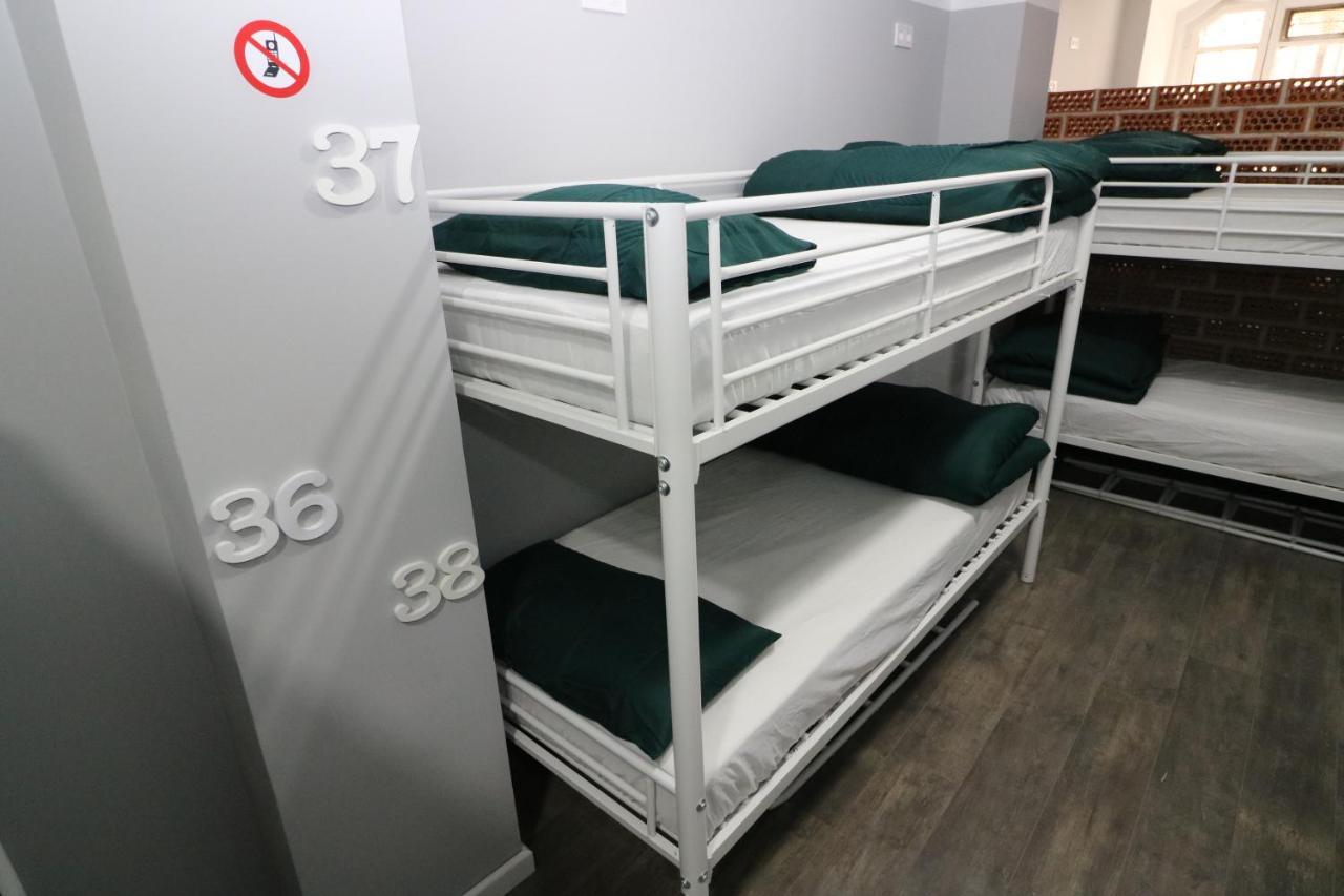 Bunk Bed Mixed Dormitory Room