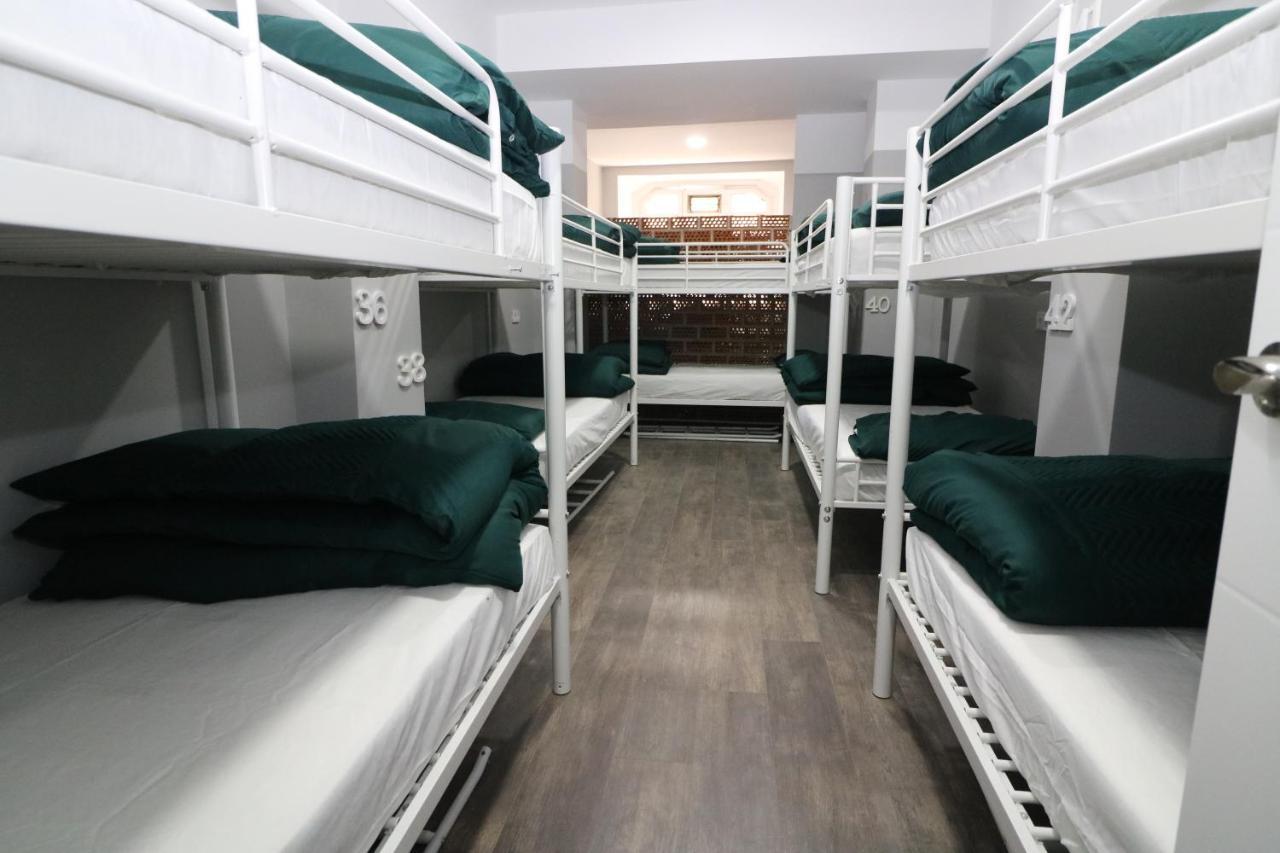 Bunk Bed Mixed Dormitory Room