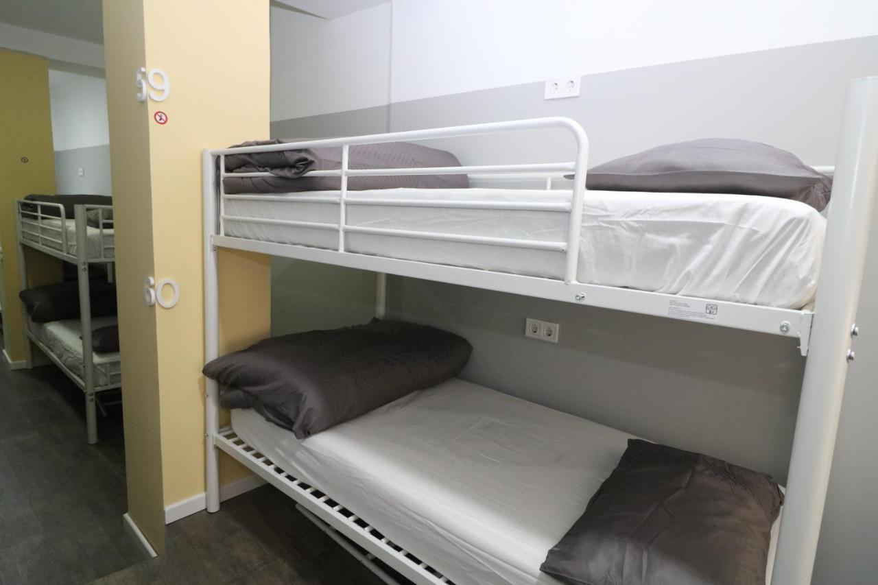 Bunk Bed Mixed Dormitory Room