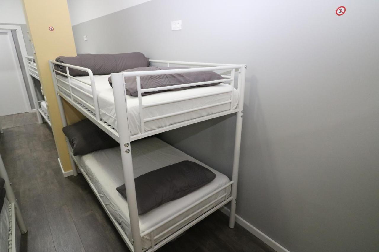 Bunk Bed Mixed Dormitory Room