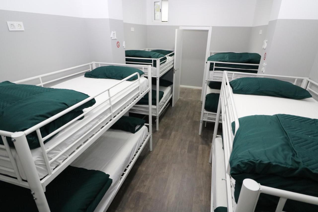 Bunk Bed Mixed Dormitory Room
