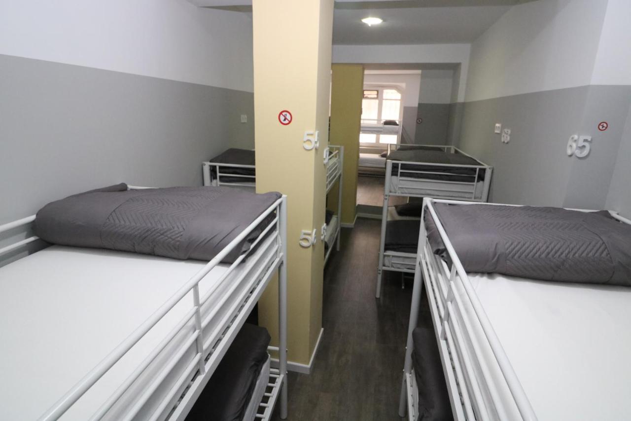 Bunk Bed Mixed Dormitory Room