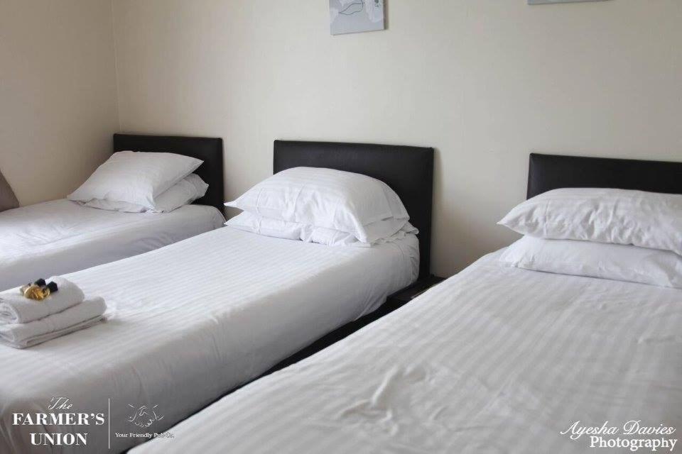 Standard Triple Room,1238992990:JPEG
