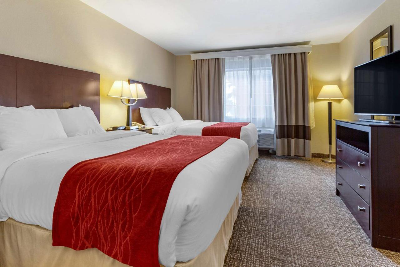 Suite 2 Lits Queen-Size - Accessible aux Personnes à Mobilité Réduite - Non-Fumeurs