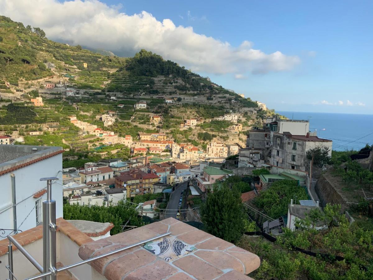 Suite Sea View