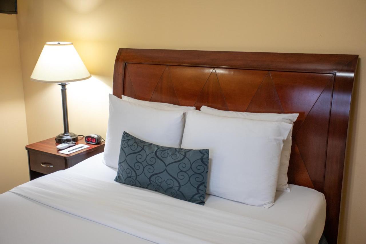 Queen Room,118801576:JPEG
