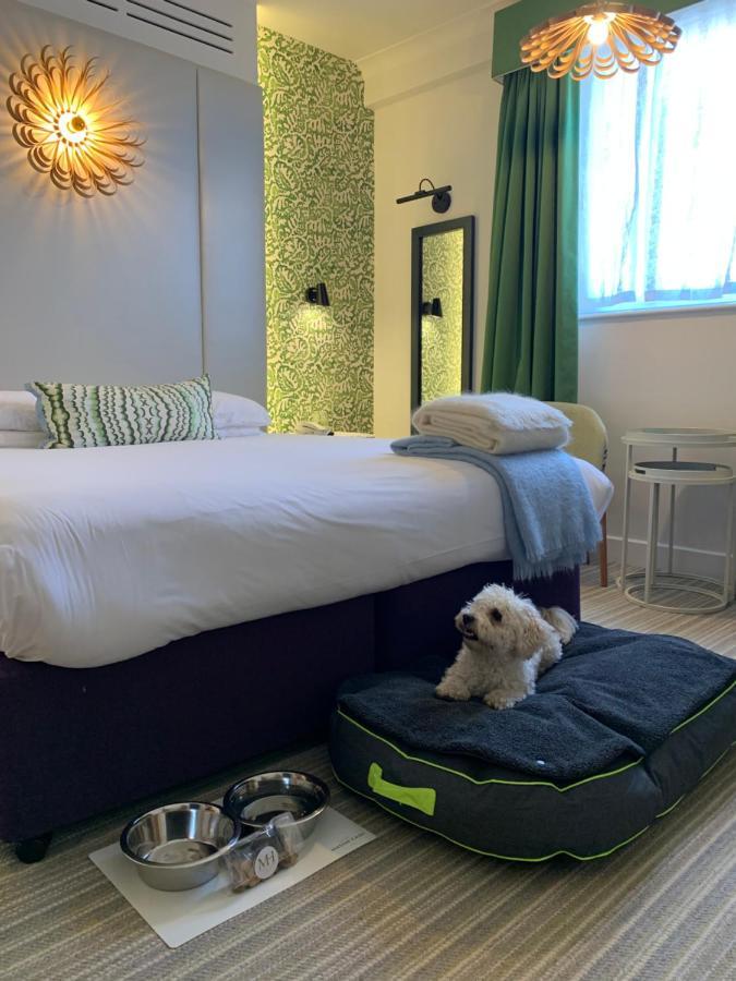 Deluxe Double Room Dog Friendly