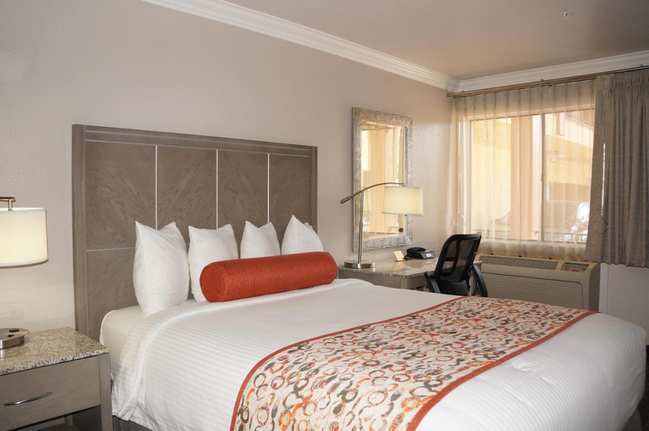 1 King Bed Non Smoking