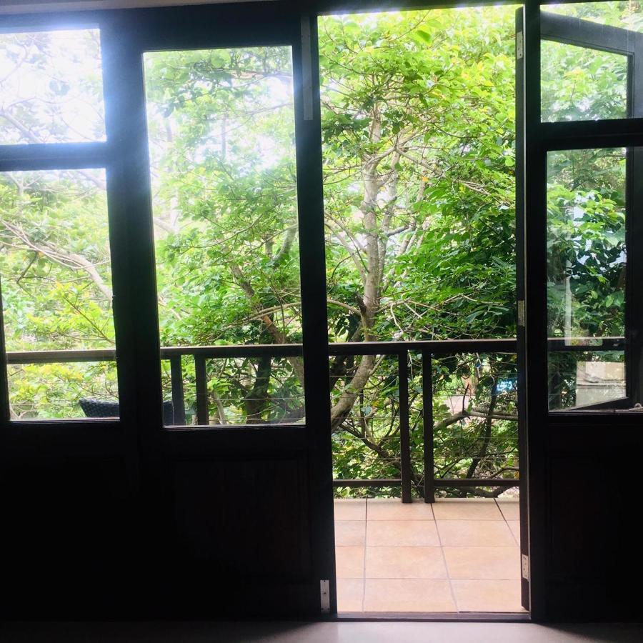 King Room Garden View