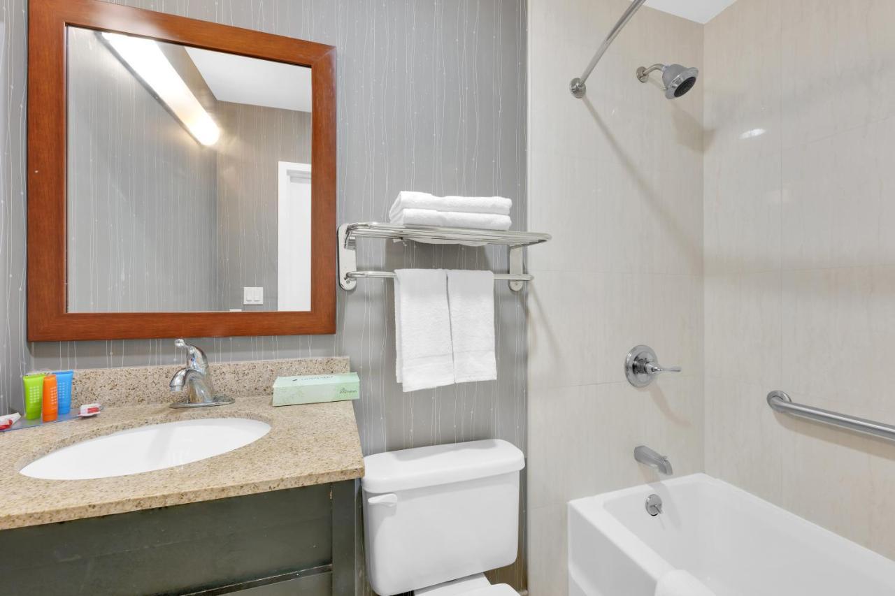 Suite Superior