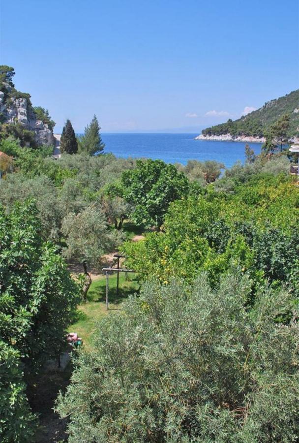 Double Room Garden View