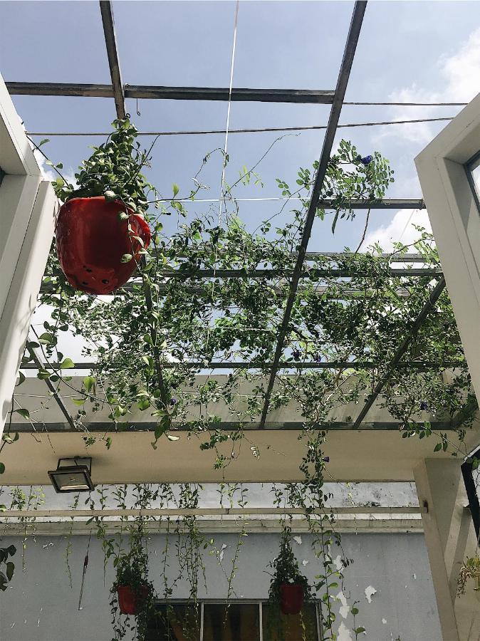 Single Room Garden View