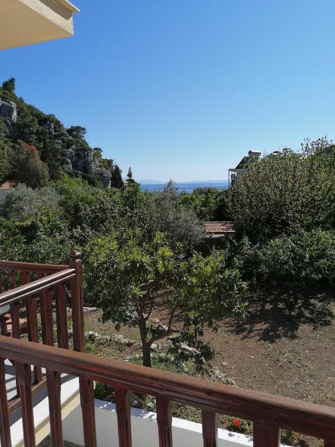 Double Room Garden View
