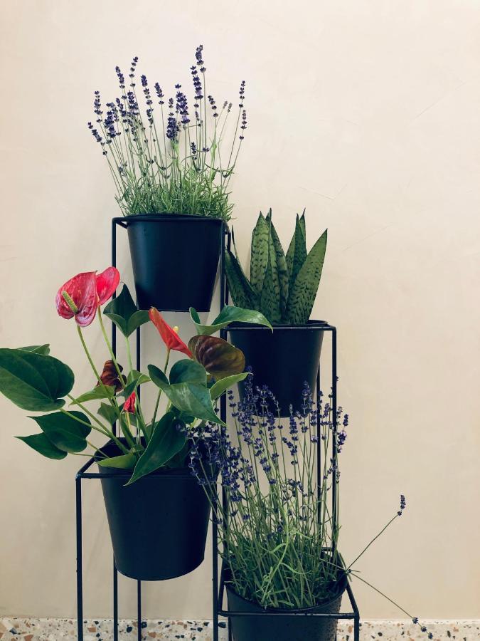 Suite Garden View