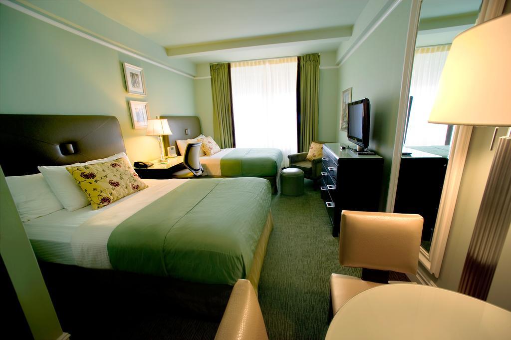 Double Studio with Two Double Beds,1214109232:JPEG