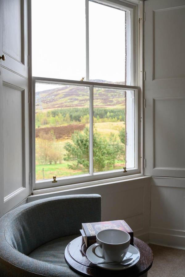 King Room Mountain View