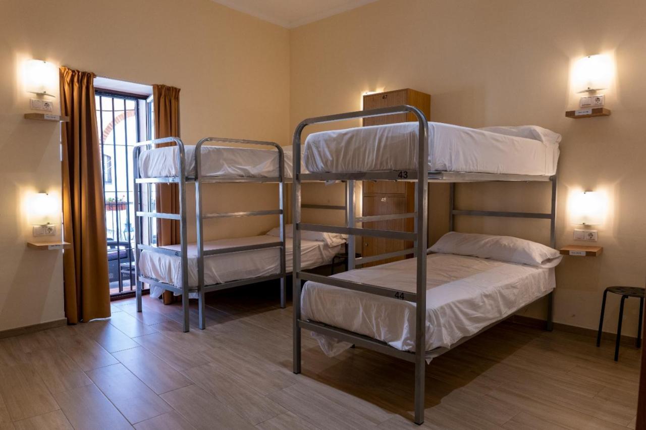 Bed in 8-Bed Dormitory Room