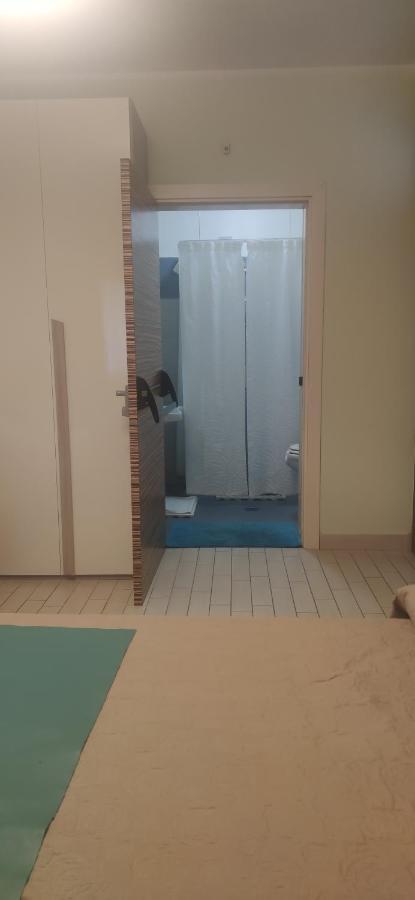 King Room Roll Shower Disability Access