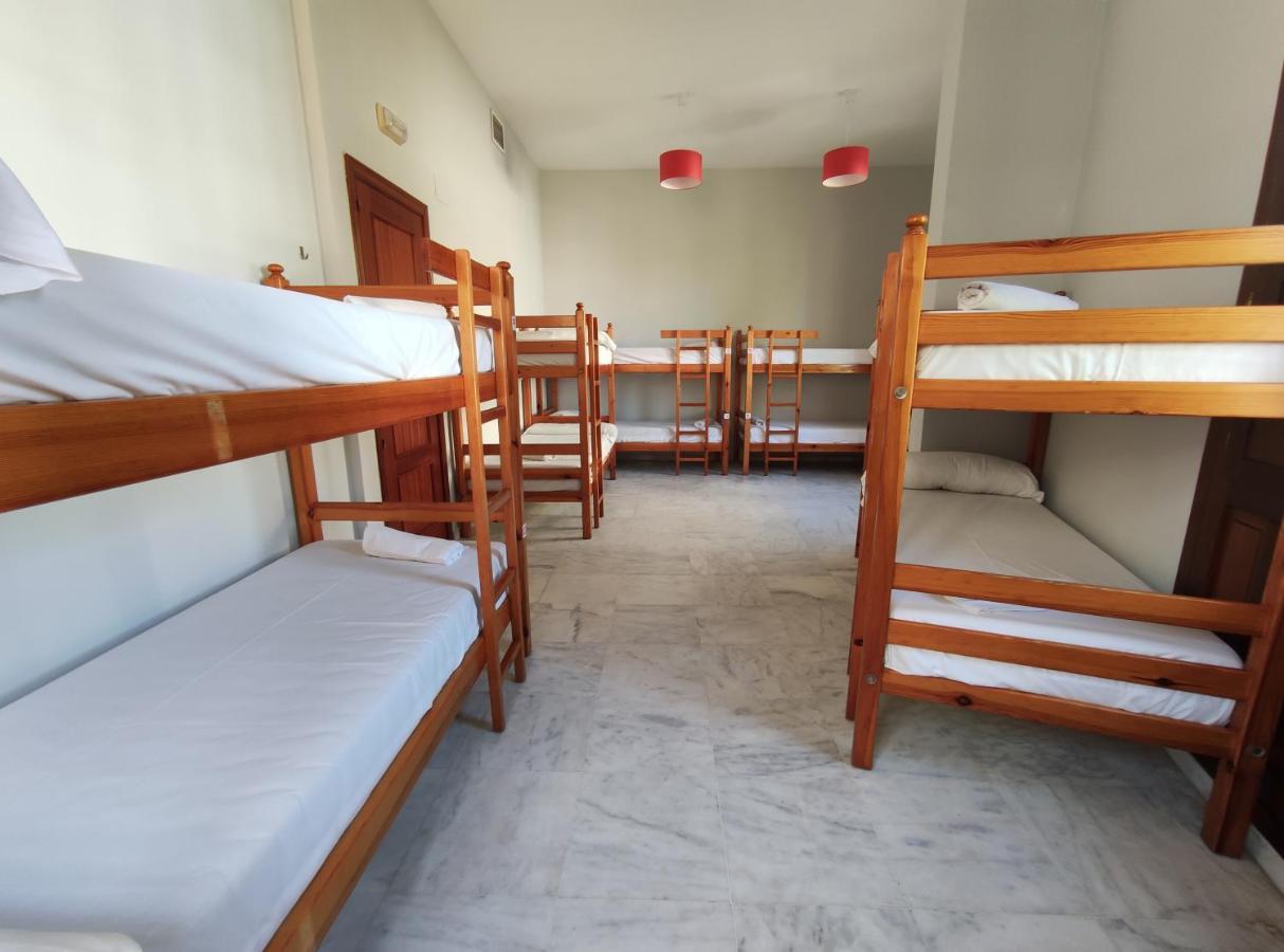 Bed 10-Bed Mixed Dormitory Room