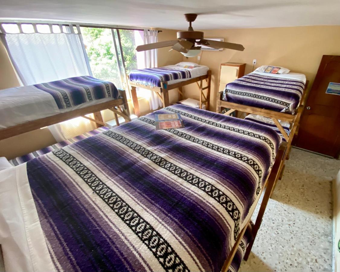 Bed in 8-Bed Mixed Dormitory Room