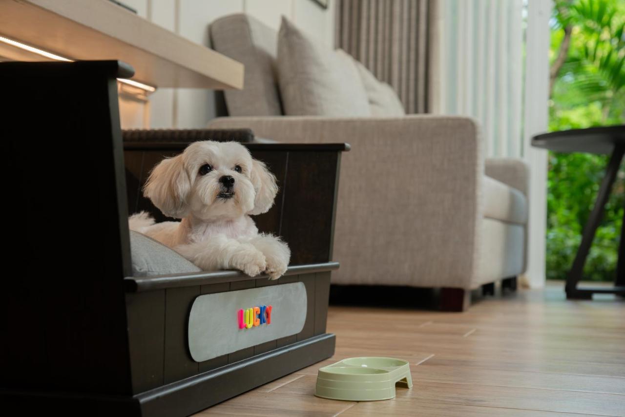 Deluxe Huisdiervriendelijke Kamer met 1 Kingsize Bed