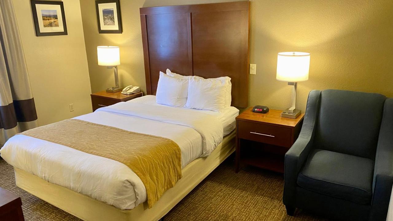 Queen Room Roll Shower Accessible or Non-Smoking