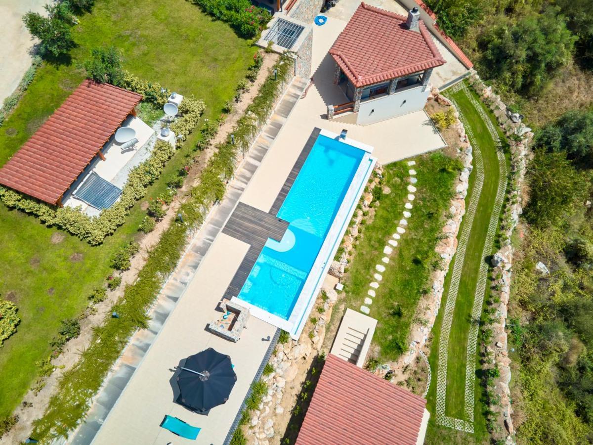 Standard Villa