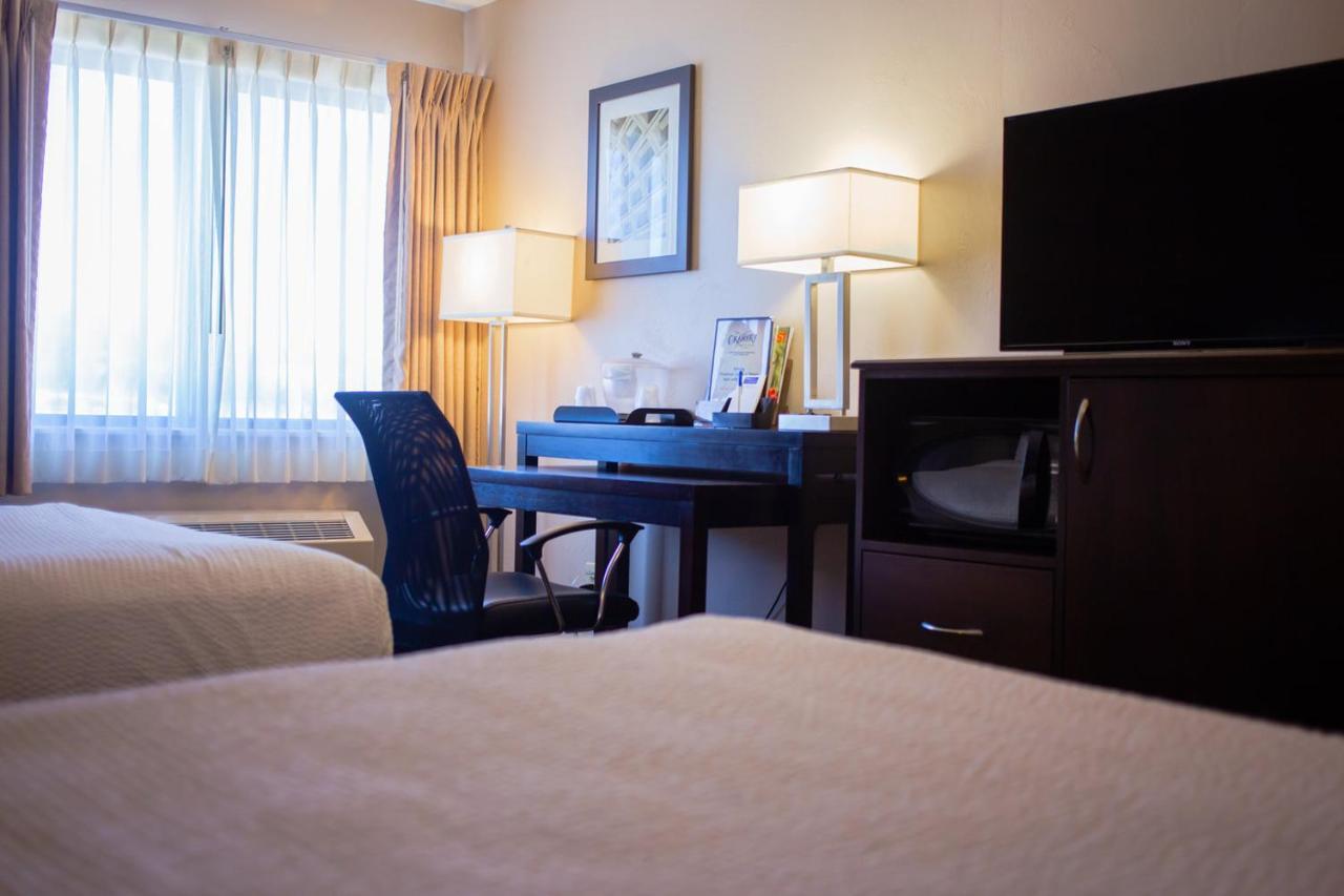 Chambre 2 Lit Queen-Size - Animaux Domestiques Admis