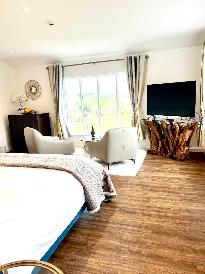 Suite Mountain View Open Plan