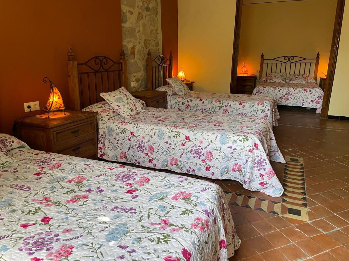 Chambre Familiale (4 Adultes)