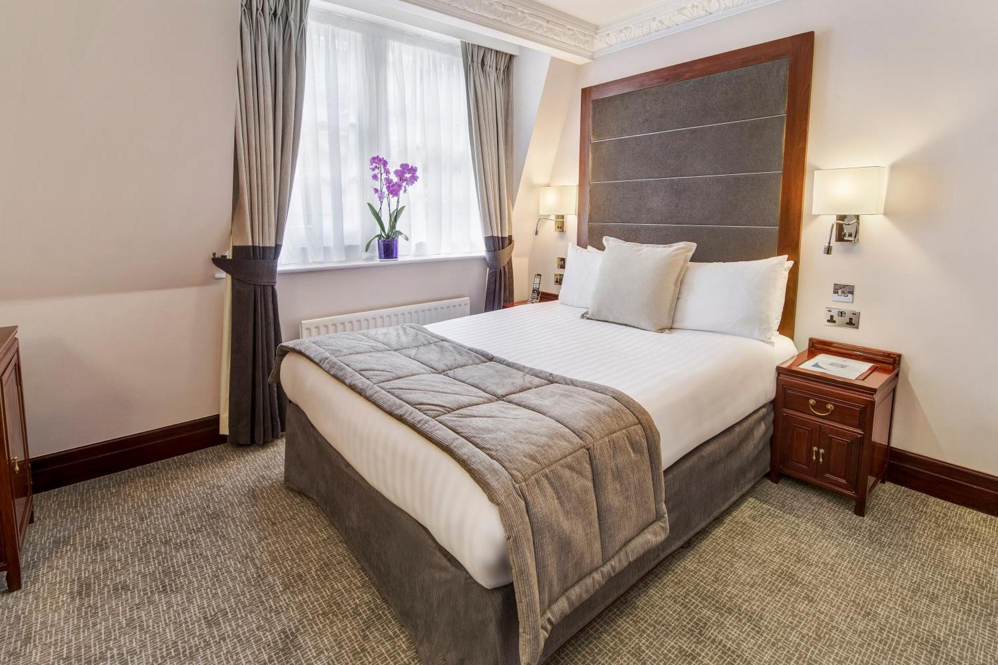 Executive Room,1208646463:JPEG
