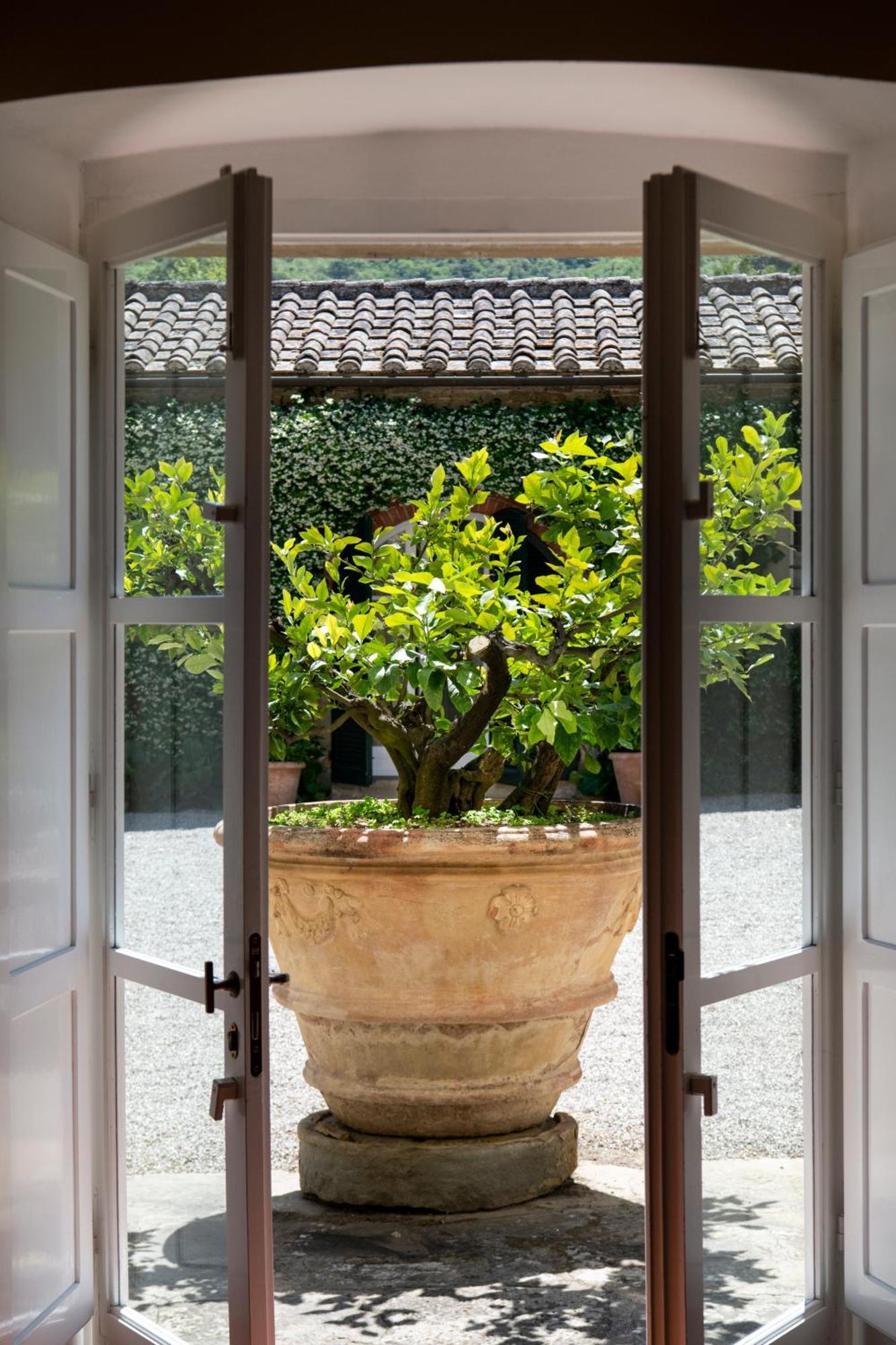 Courtyard Suite