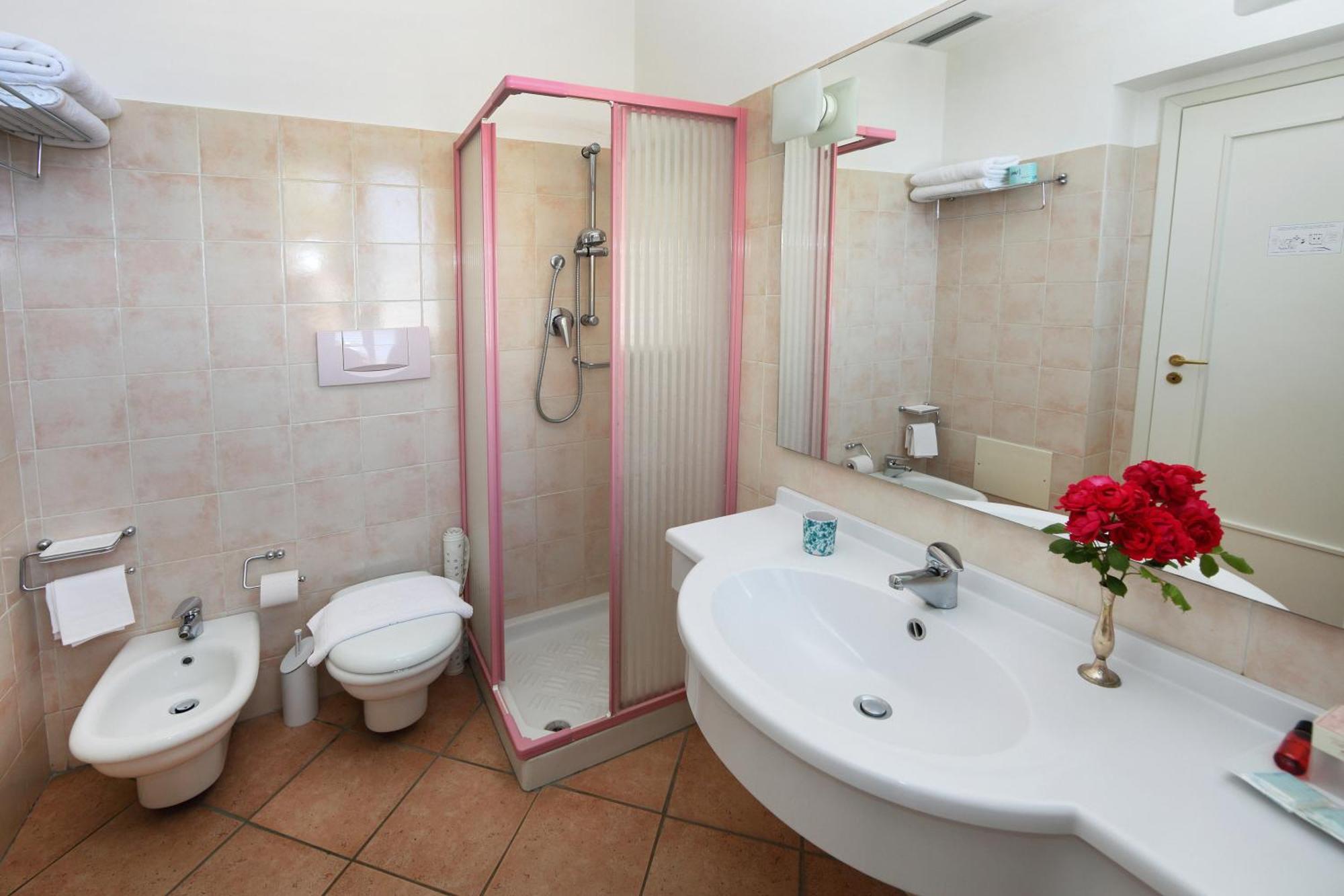 Double or Twin Room Mountain View