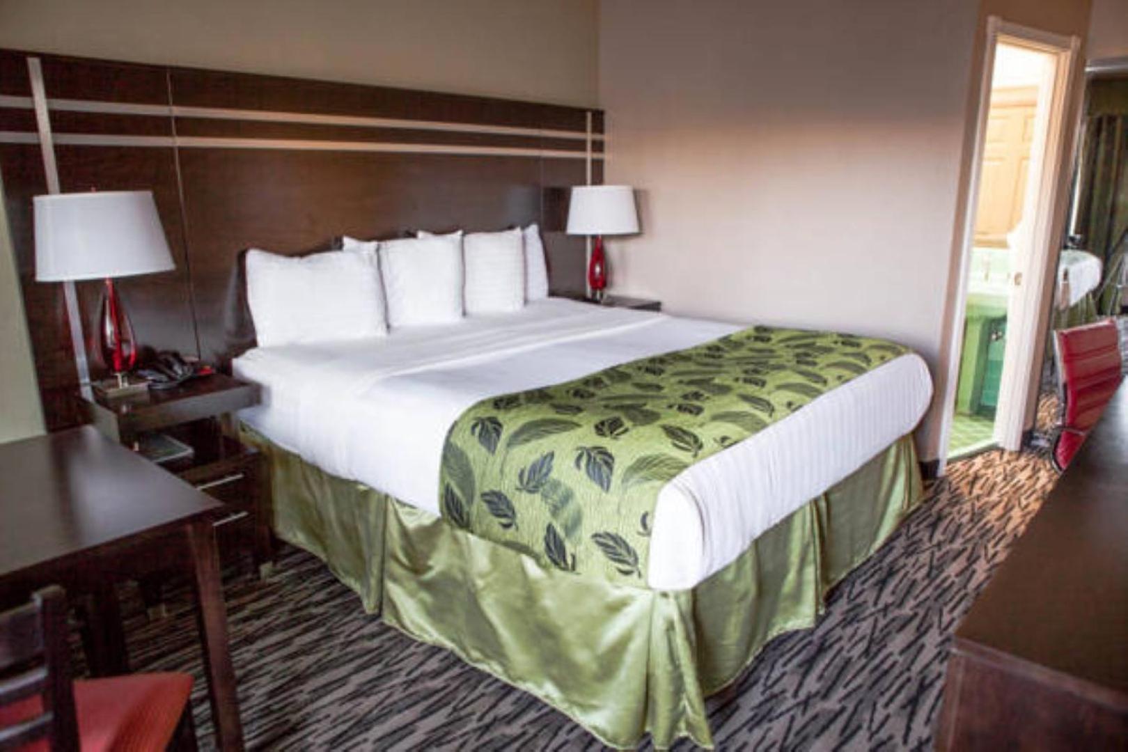 Standard Queen Room,507798801:JPEG