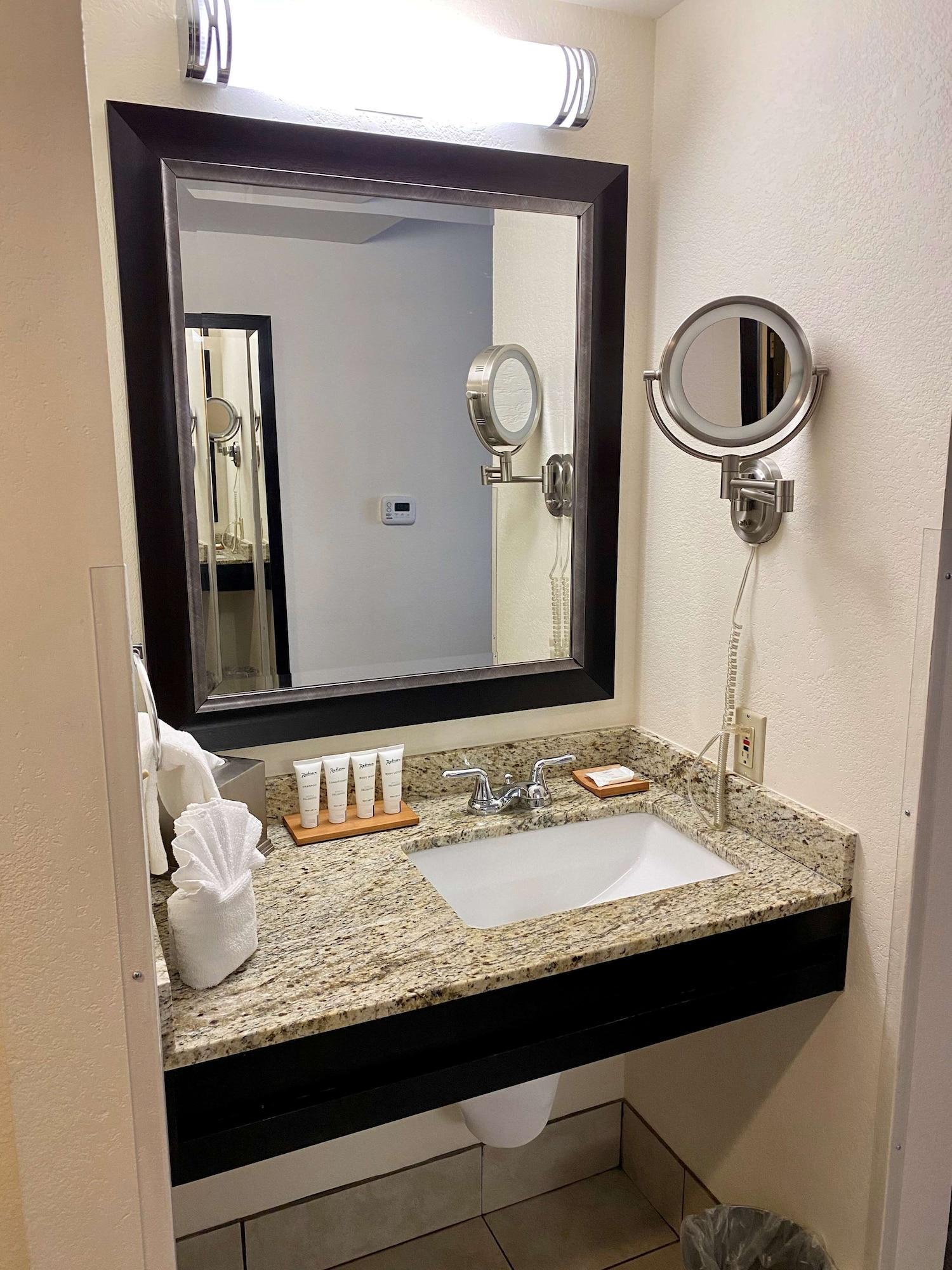 King Room Accessible Roll Shower