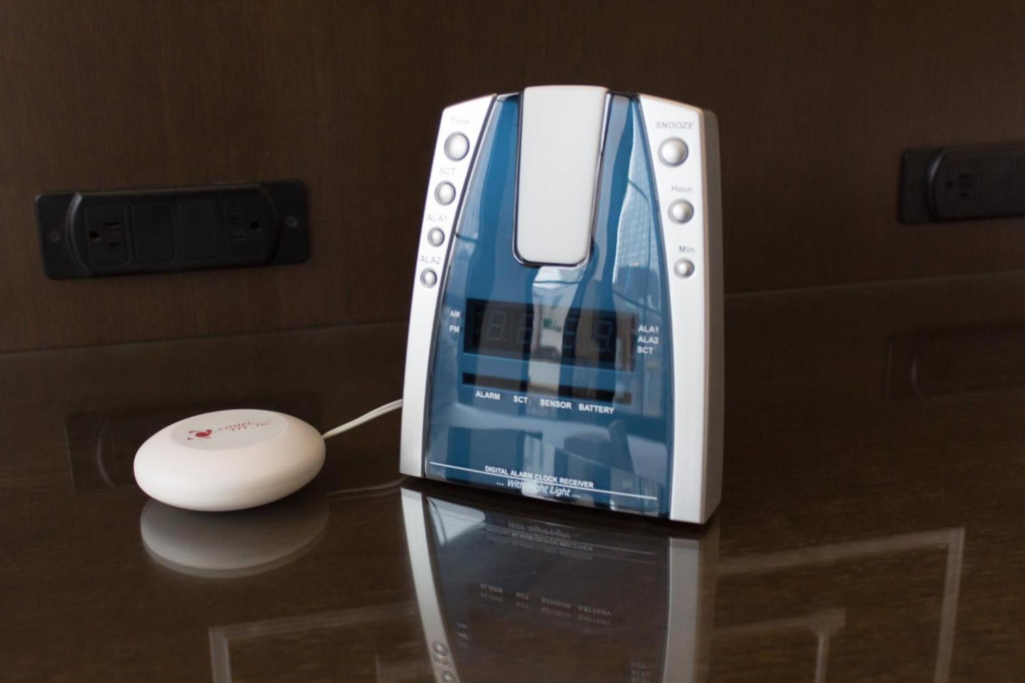 Classic King Mobility Hearing-Accessible Guest Room Tub