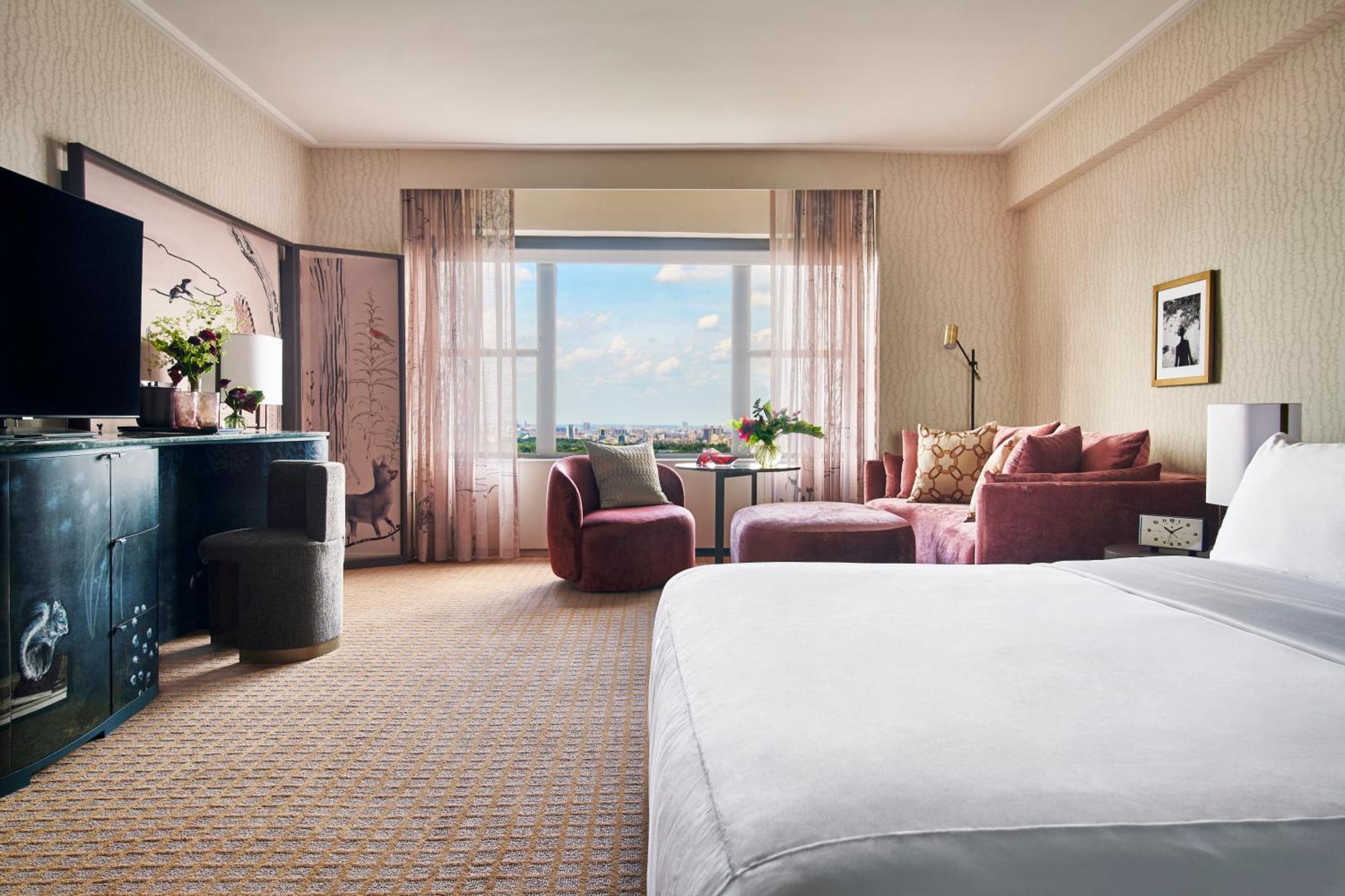 Suite Estudio con vistas al parque
