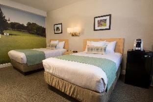 Deluxe Double Room 2 Double Beds