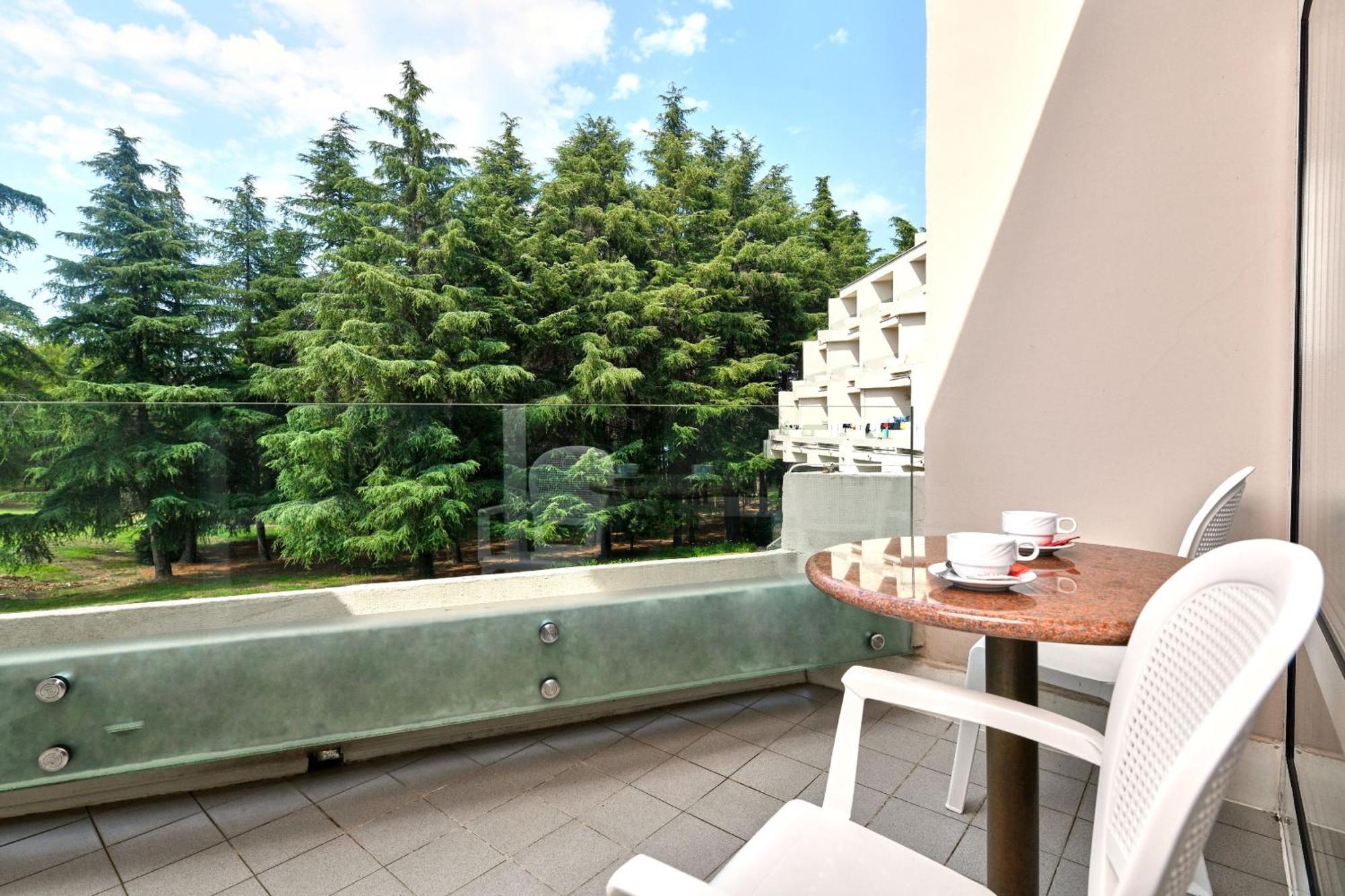 Classic Room Balcony Park Side
