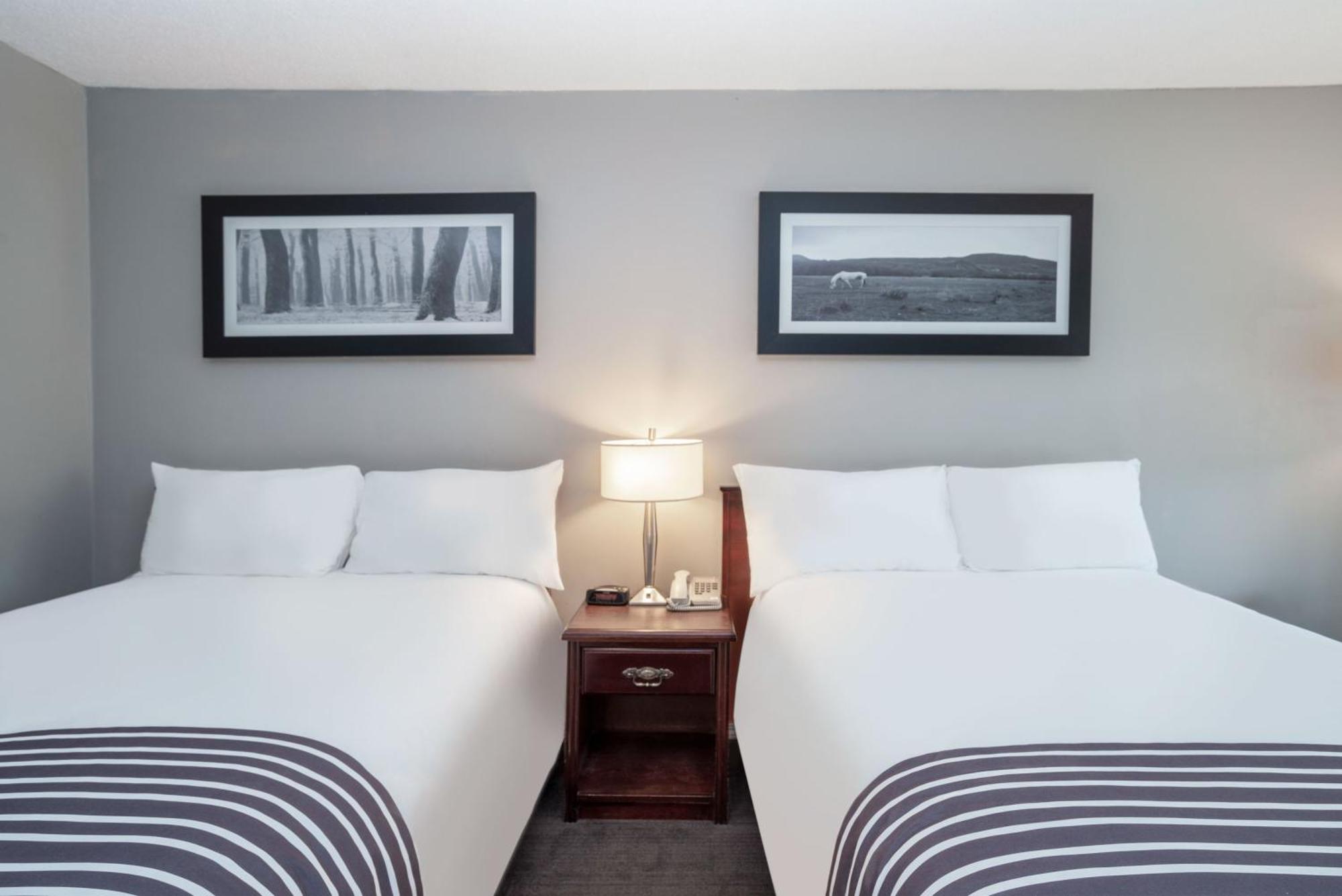 Standard Room 2 Double Beds