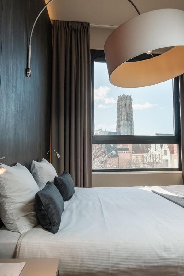 Suite Catedral