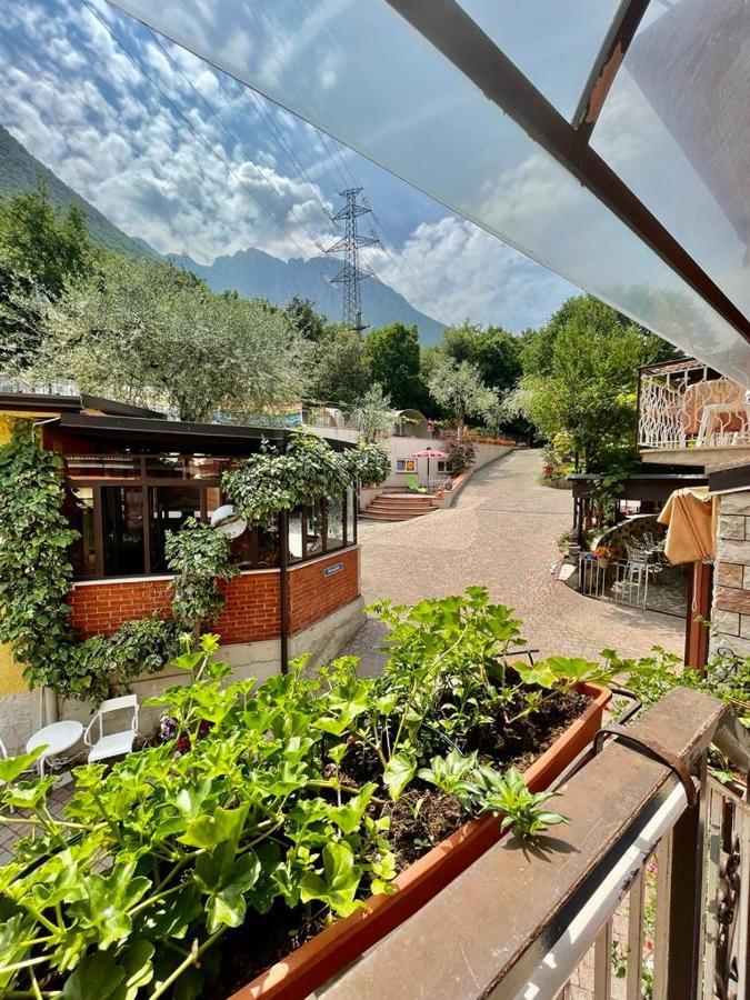 Double Room Balcony Mountain View