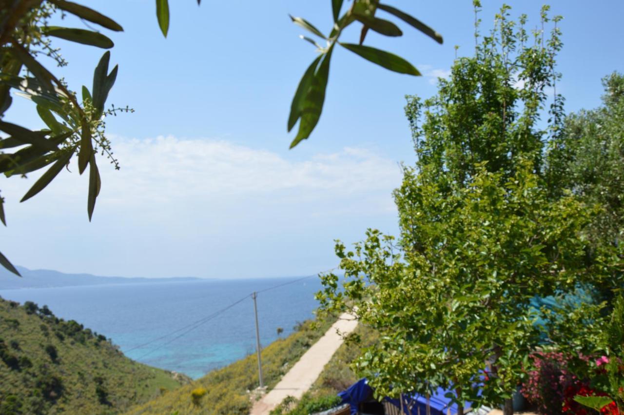 Studio Apartment Sea View