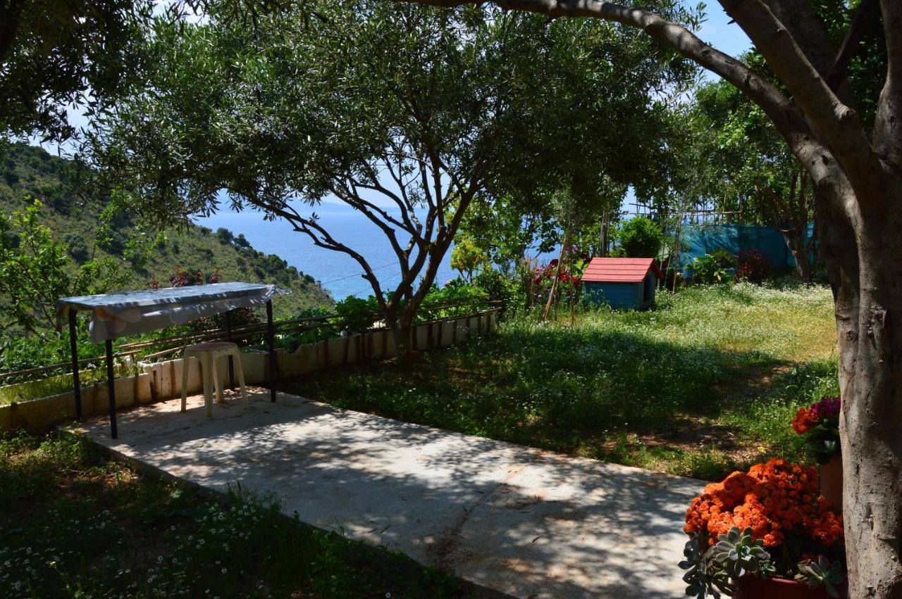 Studio Apartment Sea View