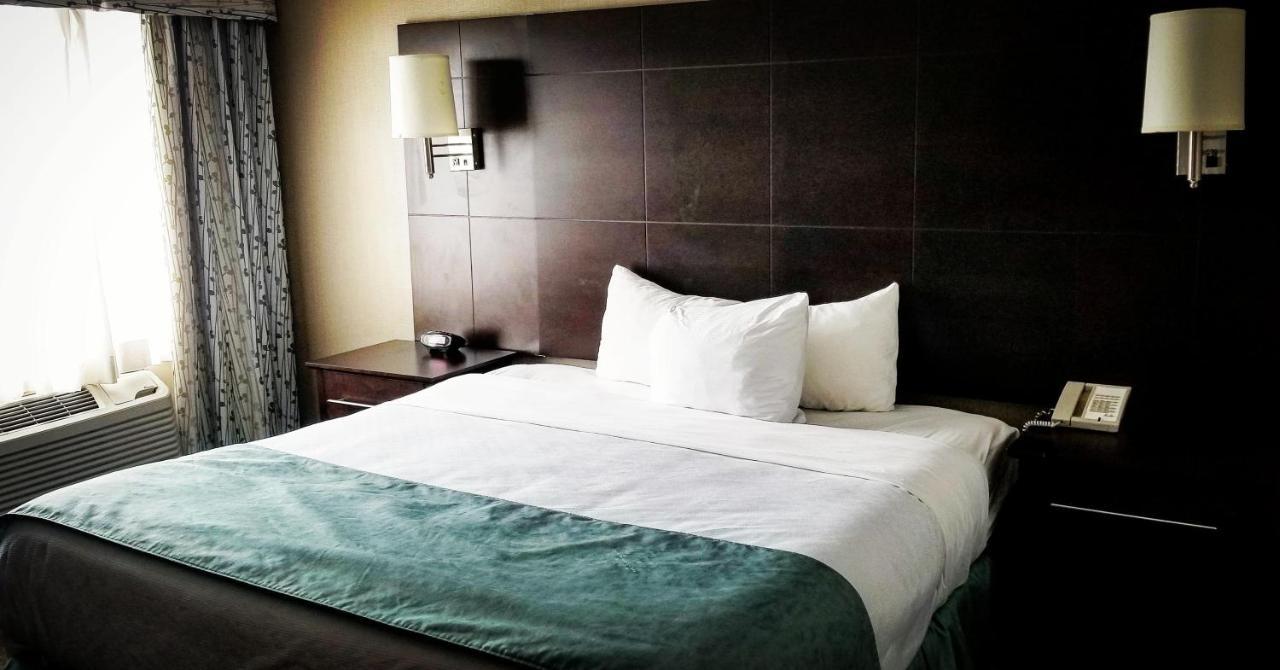 Standard King Room