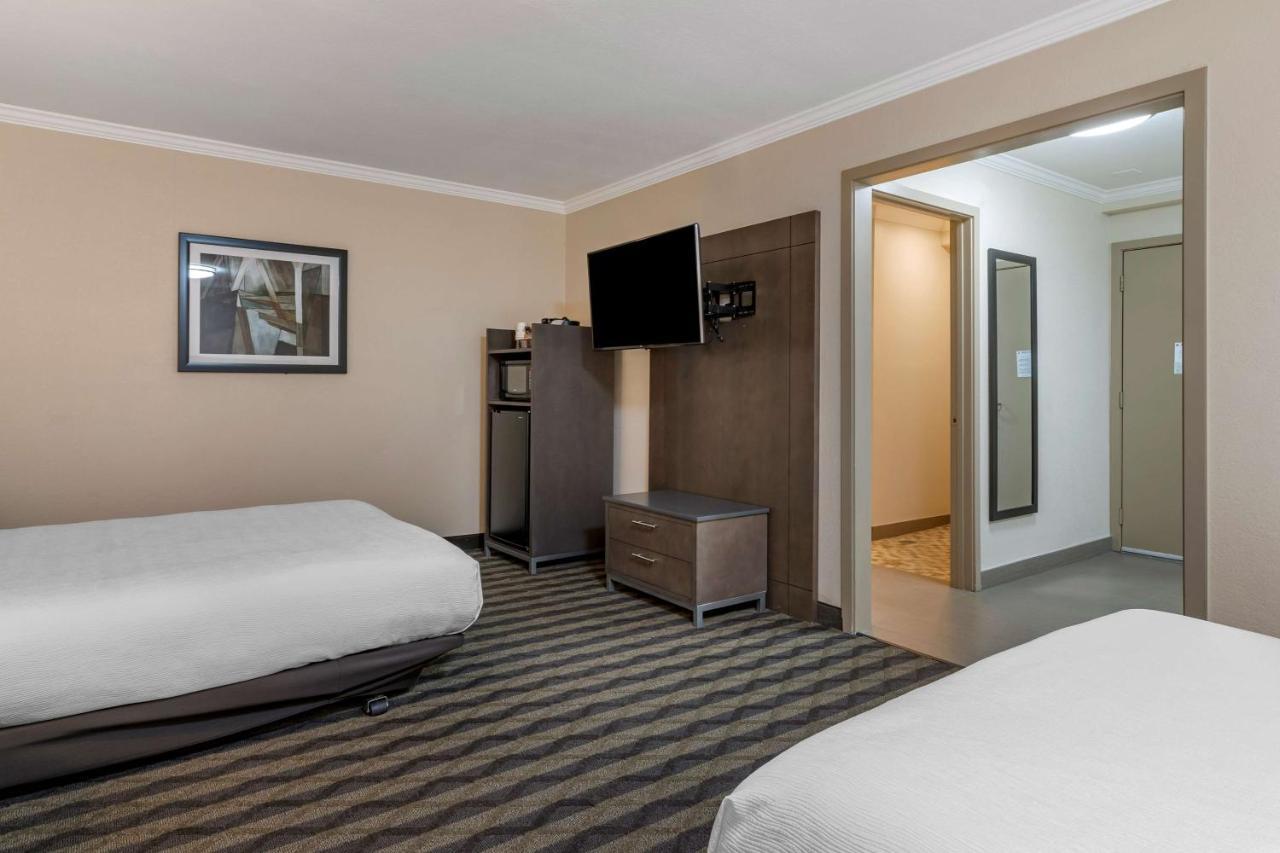 Queen Room Two Queen Beds Roll Shower Mobility Access or Non-Smoking,1260893893:JPEG