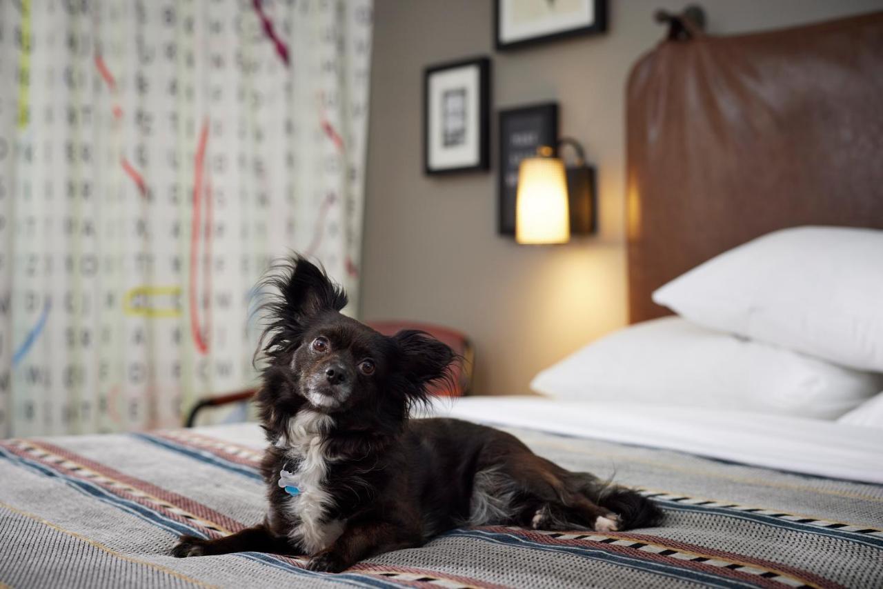Queen Guest Room