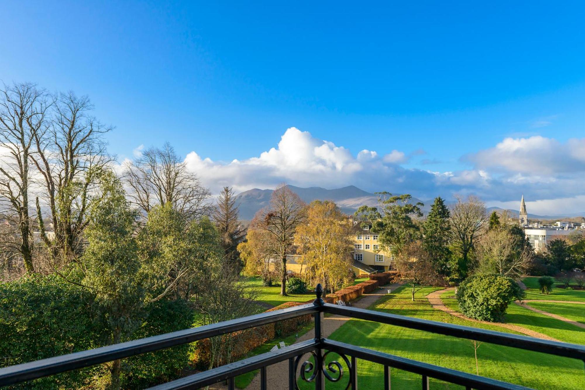 Deluxe King Room Garden View