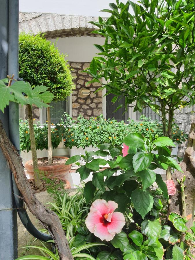 Classic Double or Twin Room Garden View