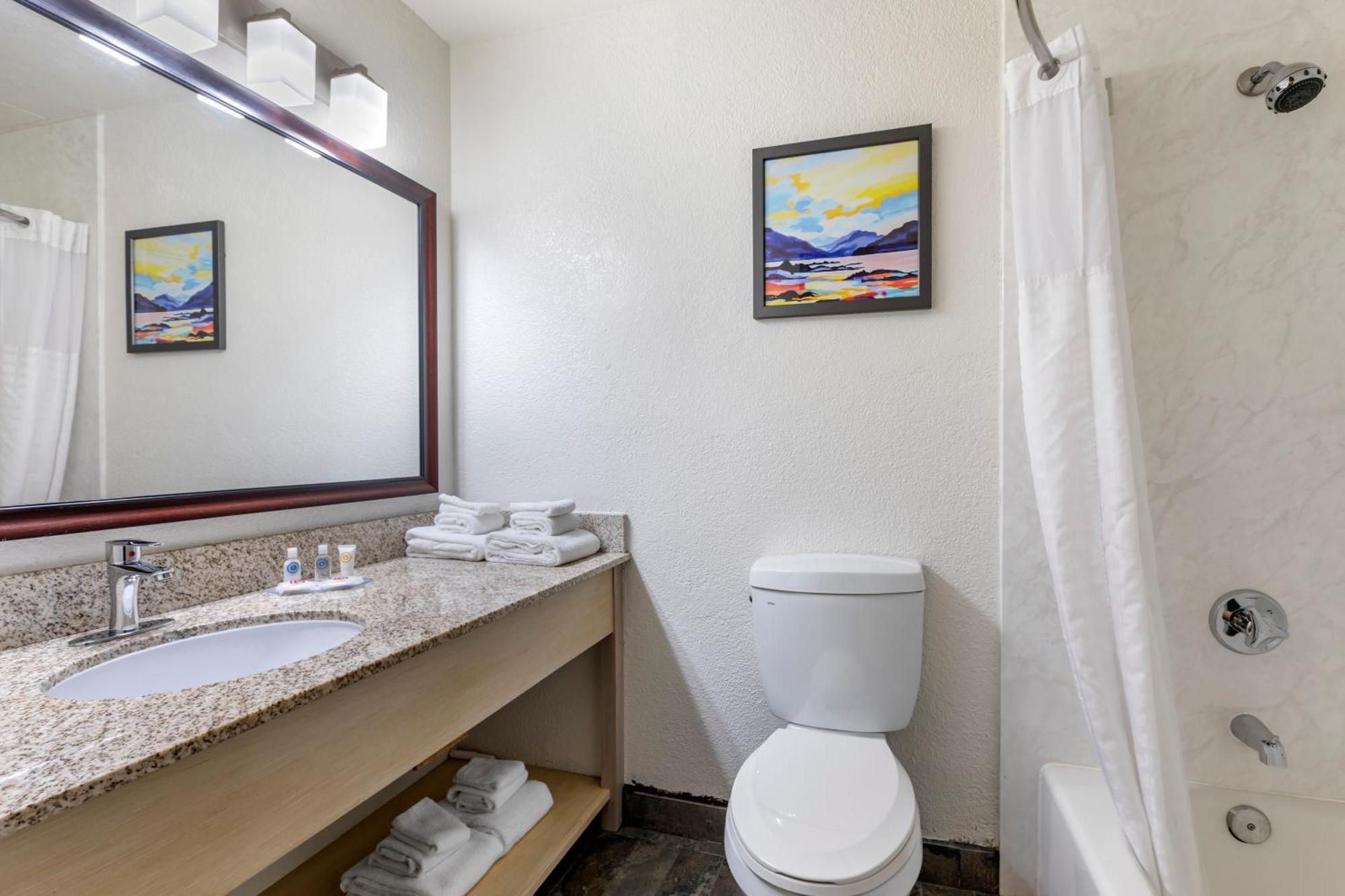 Quarto Standard com 1 Cama King-size - Não Fumador